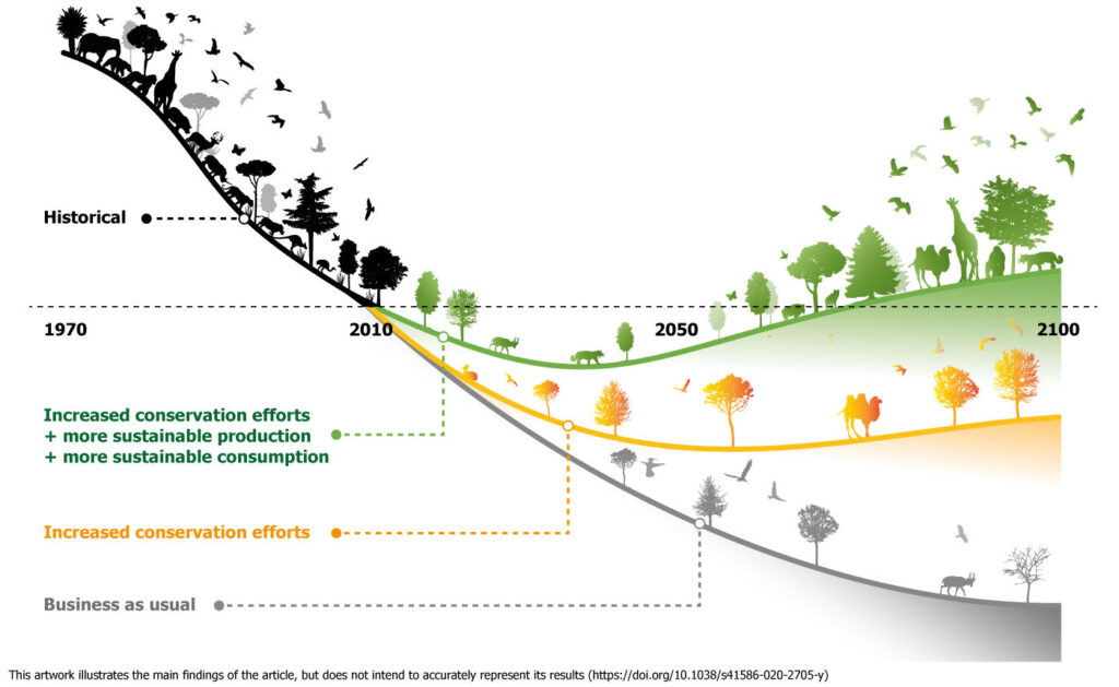 biodiversity conservation - biodiversity charts and graphs