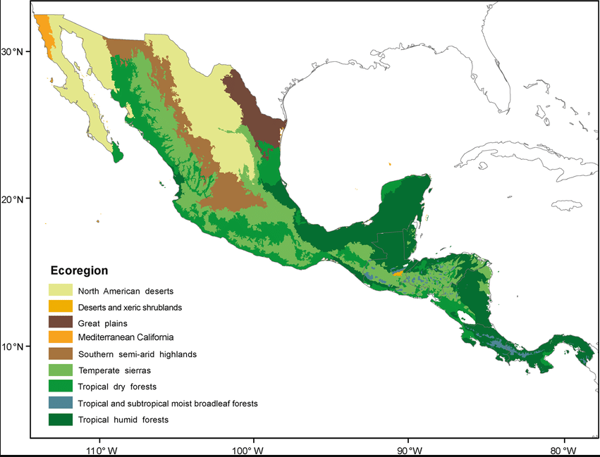 biomes in central america - biodiversity