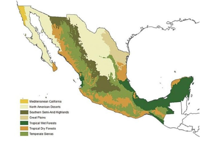 biomes in mexico - biodiversity in mexico