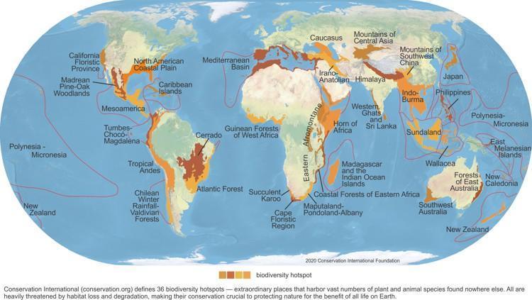 map - name three ecosystem services provided by biodiversity