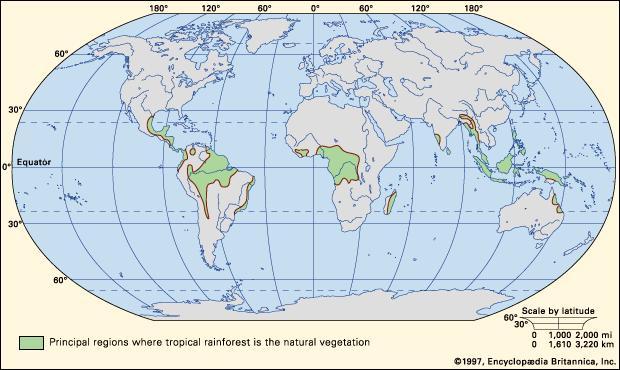 tropical rainforest map - most biodiverse biome
