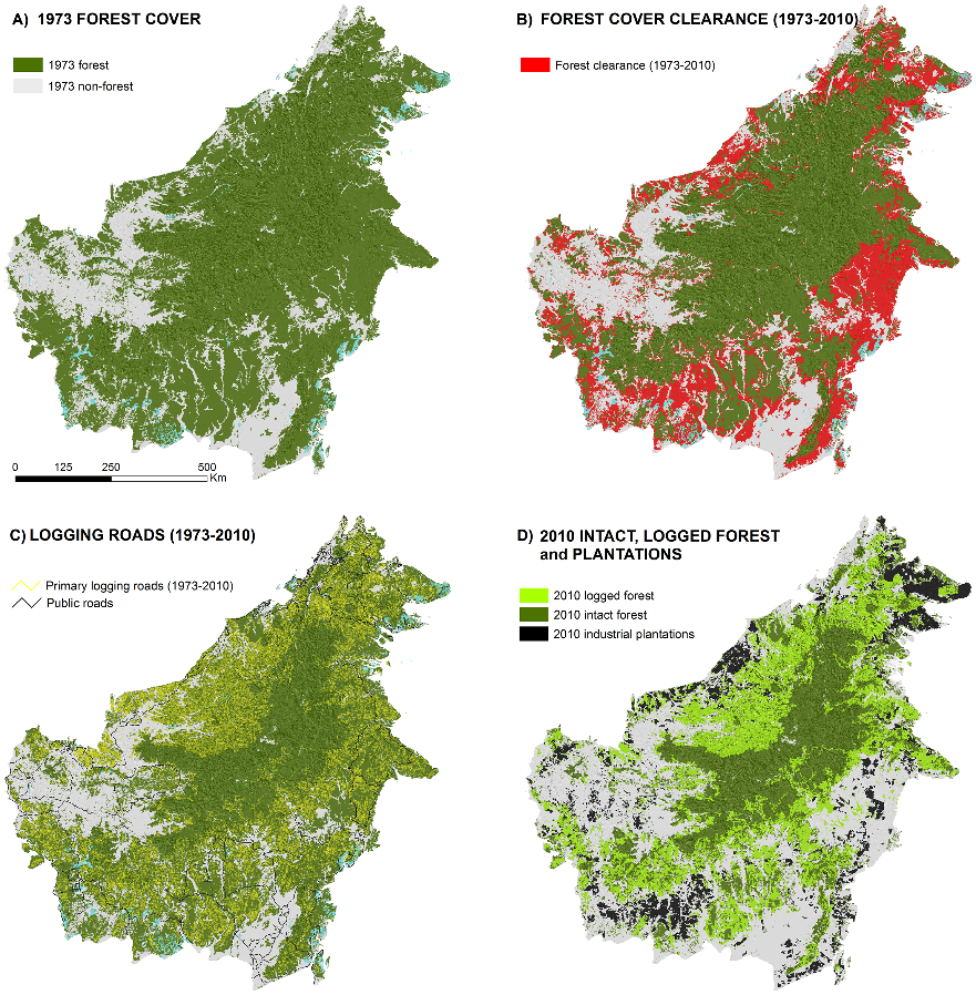 forest coverage borneo - observation of biodiversity loss