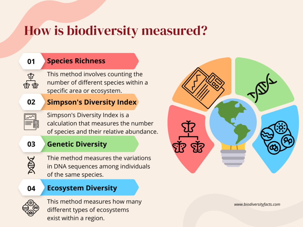 how is biodiversity measured infographic