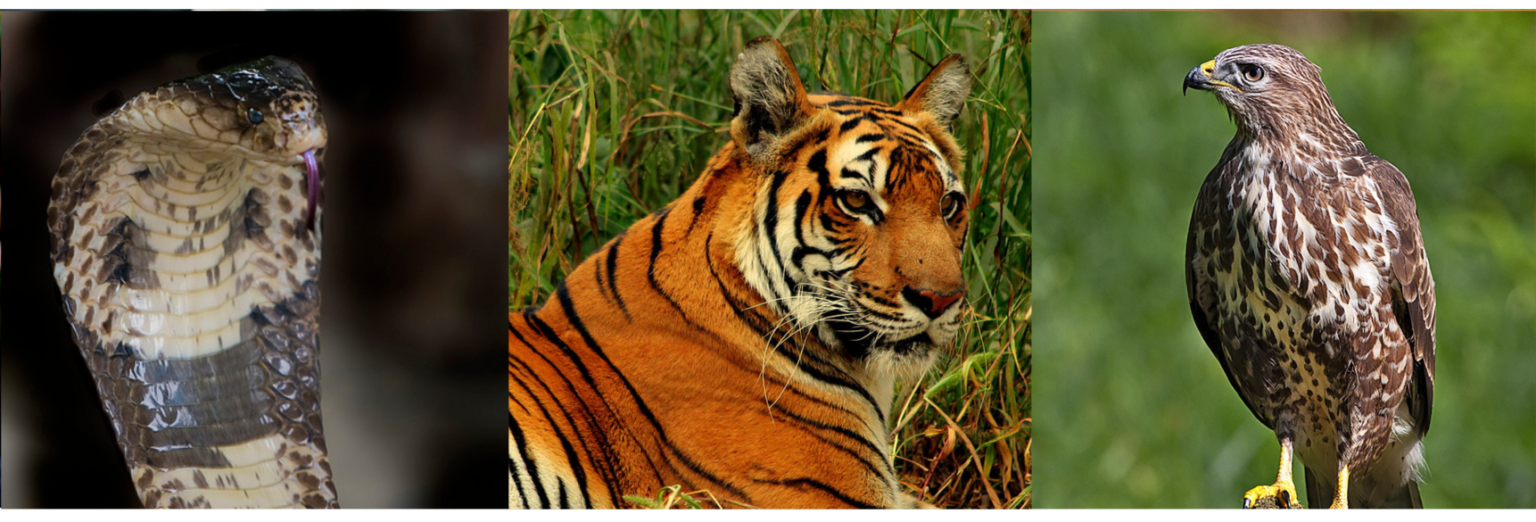 Biodiversity Conservation in Bangladesh Biodiversity Facts